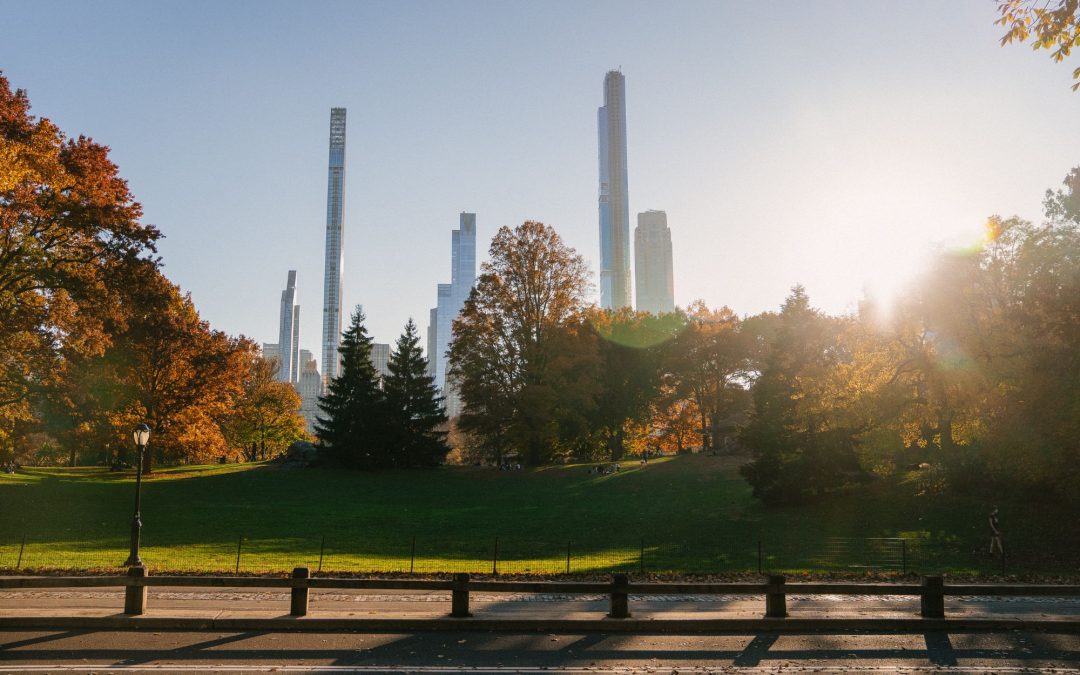 Urban Oasis: Finding Natural Spaces in the City